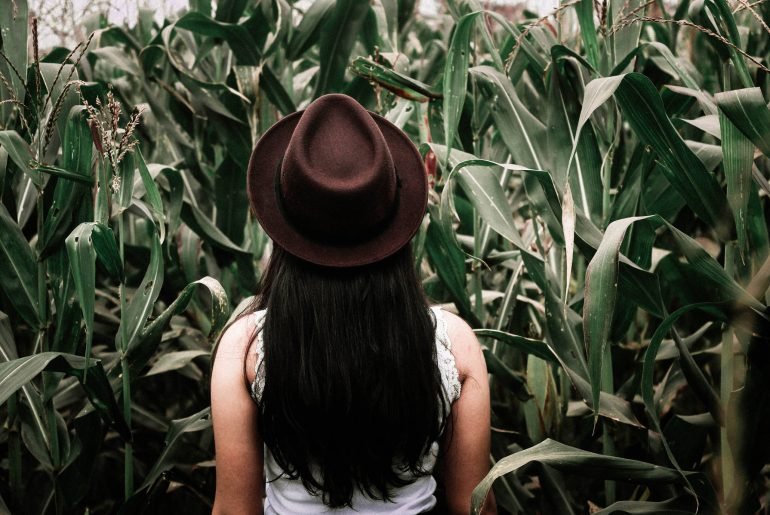 3 reasons to get excited about a brand new greenhouse